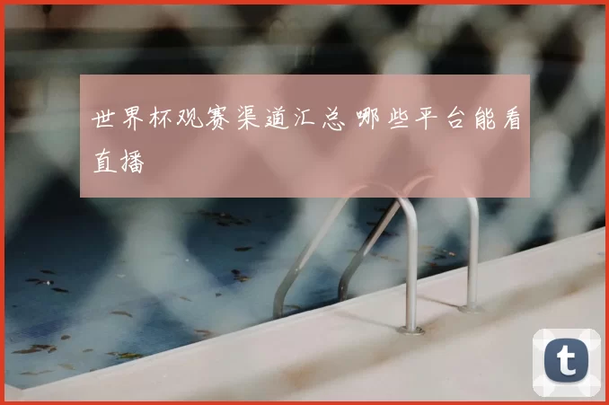 世界杯观赛渠道汇总 哪些平台能看直播