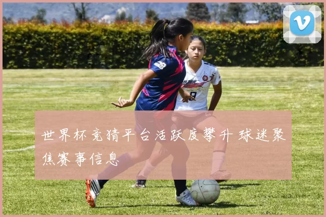 世界杯竞猜平台活跃度攀升 球迷聚焦赛事信息