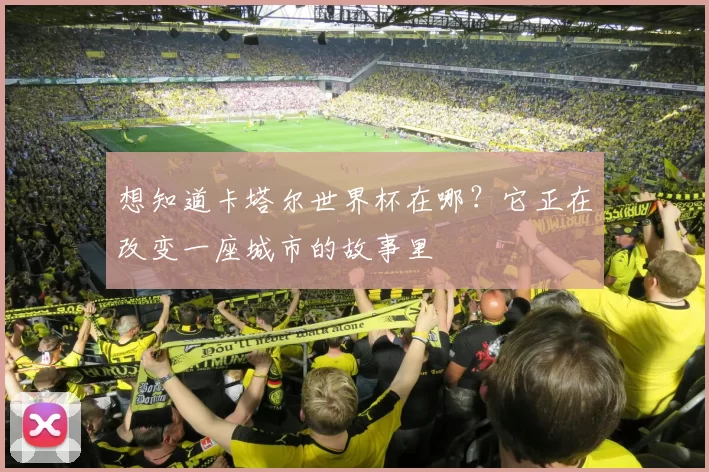 想知道卡塔尔世界杯在哪?它正在改变一座城市的故事里