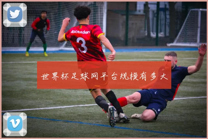世界杯足球网平台规模有多大
