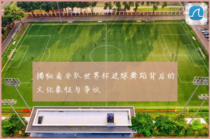 揭秘南非队世界杯进球舞蹈背后的文化象征与争议
