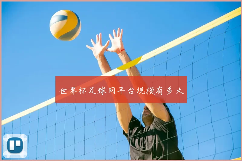 世界杯足球网平台规模有多大