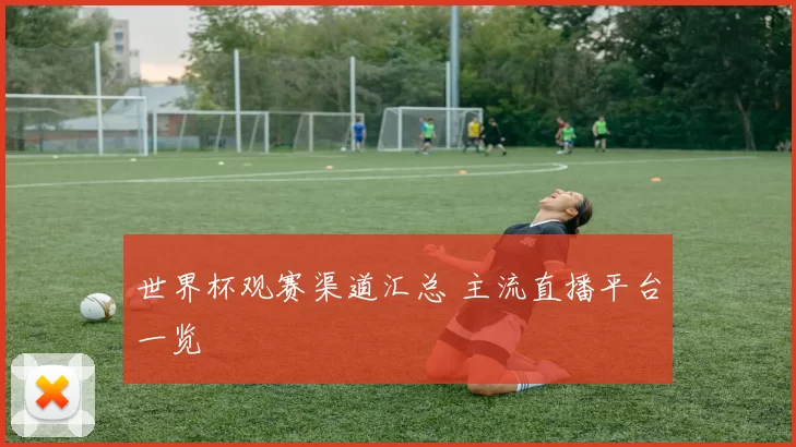世界杯观赛渠道汇总 主流直播平台一览