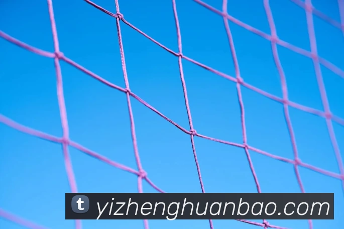 奖项图2